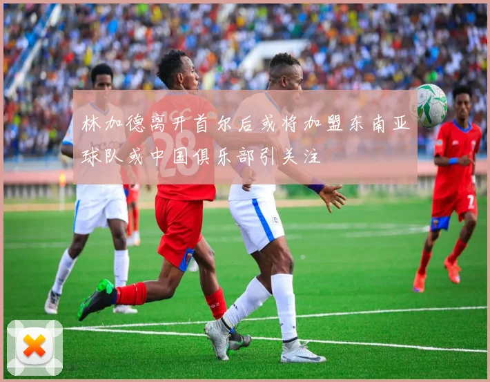 林加德离开首尔后或将加盟东南亚球队或中国俱乐部引关注