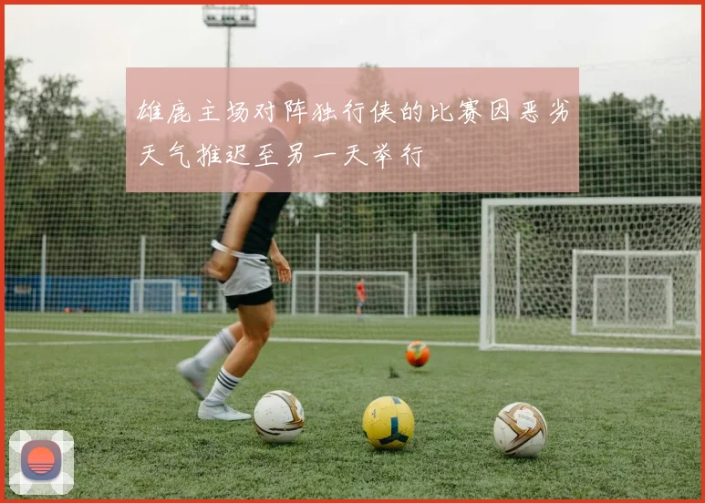 雄鹿主场对阵独行侠的比赛因恶劣天气推迟至另一天举行