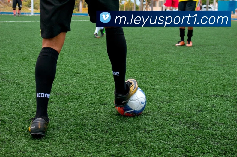 乐鱼体育APP 封面图